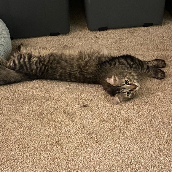 Meet your Posher, Anna - Picture 9 of 12